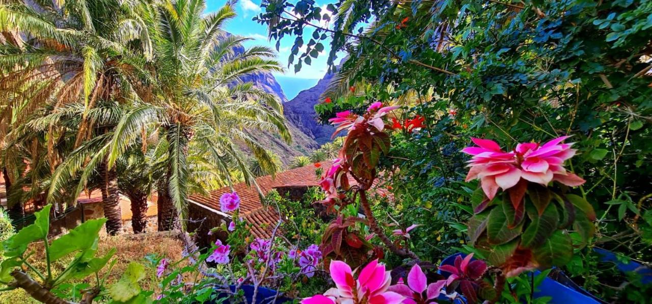 Ocean View Tenerife San Miguel de Abona Eksteriør bilde